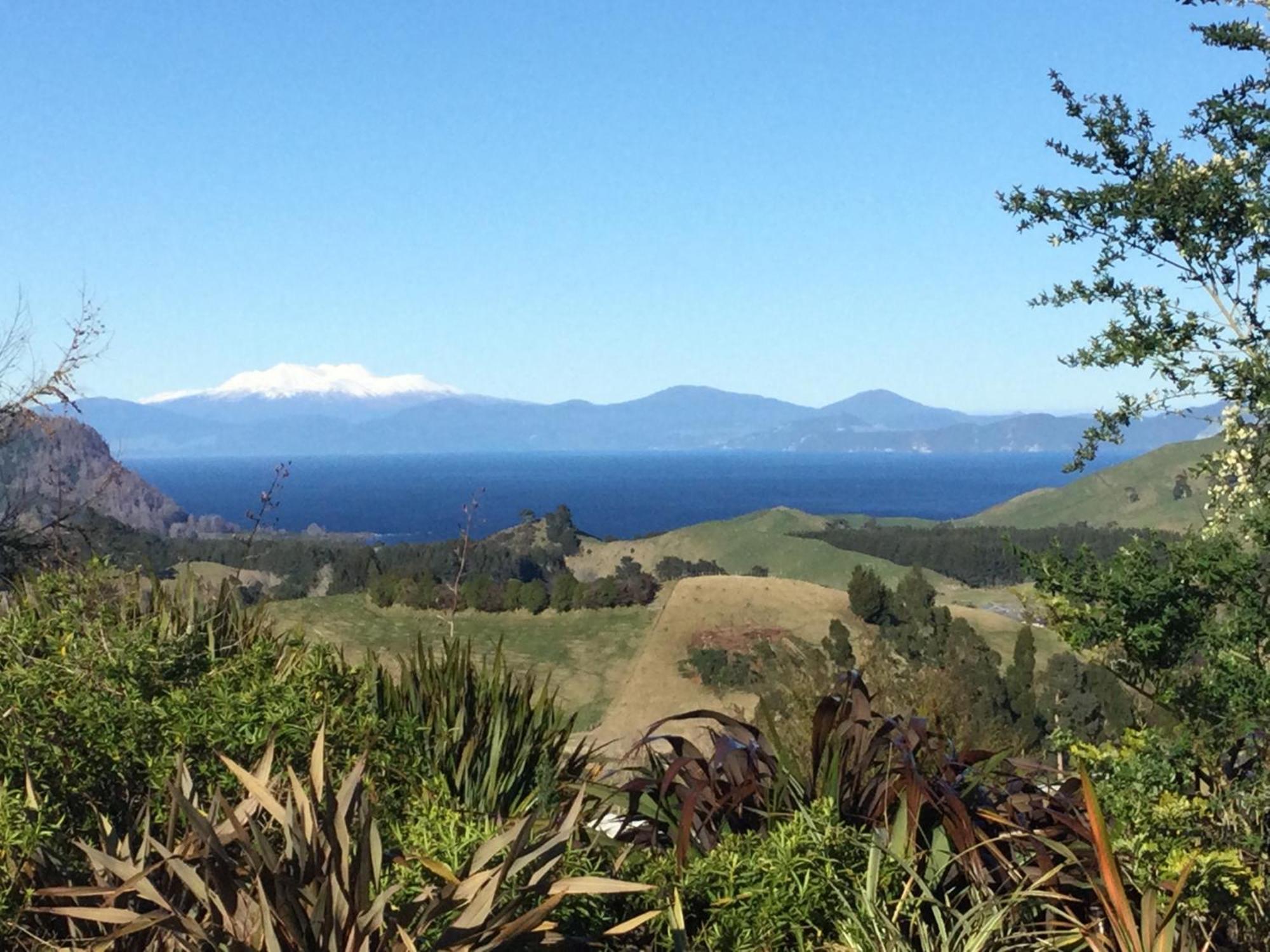 Whakaipo Bay Cabin Retreat Taupo Kültér fotó